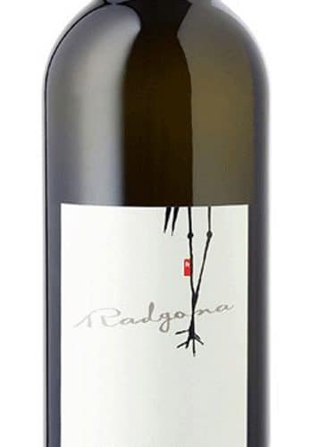 Wein Käse Geschenkideen PAŠKI SIR