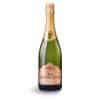 Zlata Penina Vintage 2015 Extra Dry – Premium Sekt 0,75 l | Méthode Classique